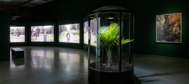 vitrina-exposicion-la-casa-encendida-madrid